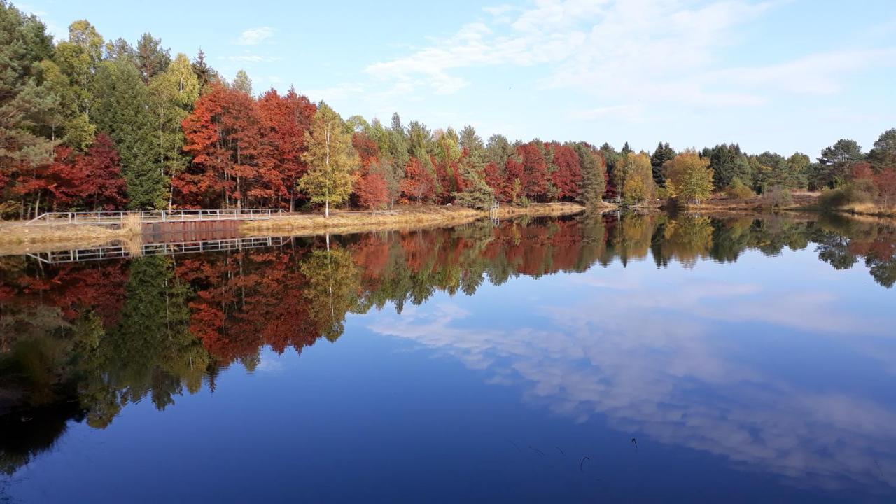 Naturhotel Hof Ehlers Bergen  Kültér fotó