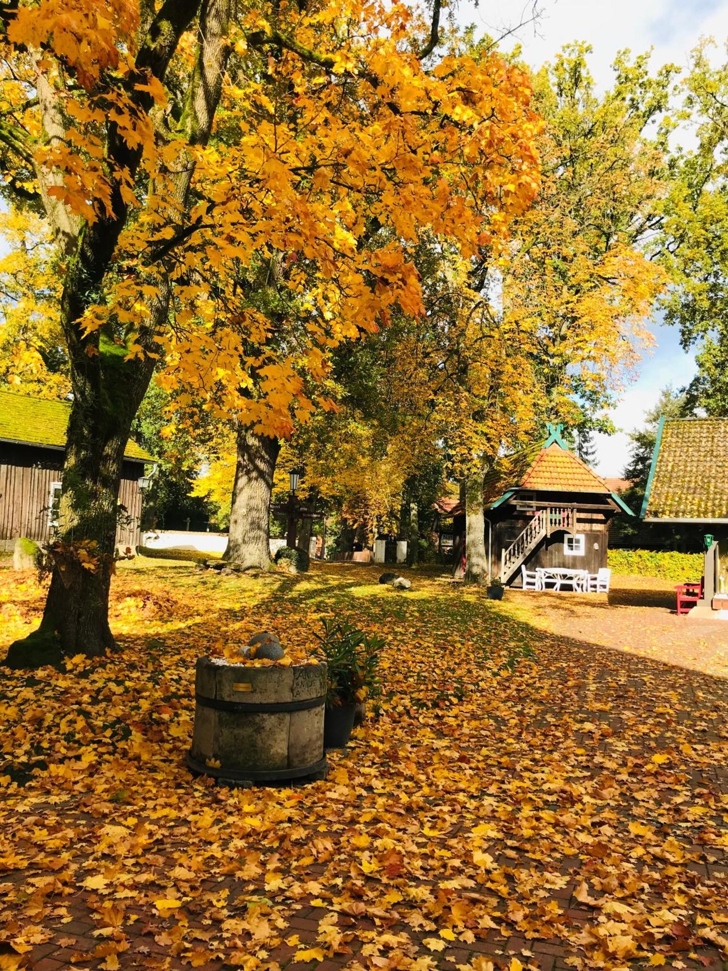Naturhotel Hof Ehlers Bergen  Kültér fotó